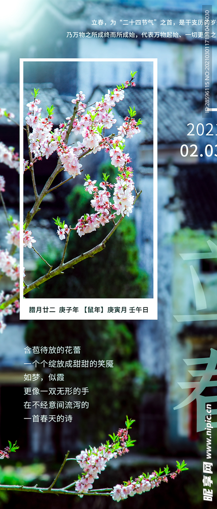 立春