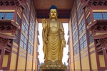趵突泉