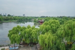 趵突泉