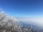 桥石拱桥