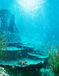 梦幻风景