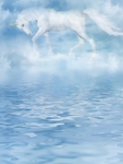 梦幻风景
