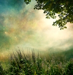 梦幻风景