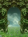 梦幻风景