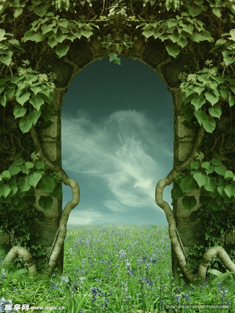 梦幻风景