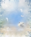 梦幻风景