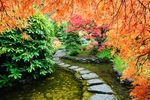 木栈道