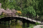 木栈道