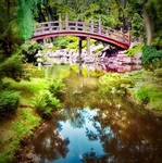 木栈道