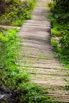木栈道
