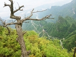 张家界
