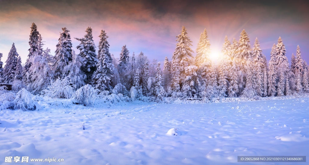 雪景