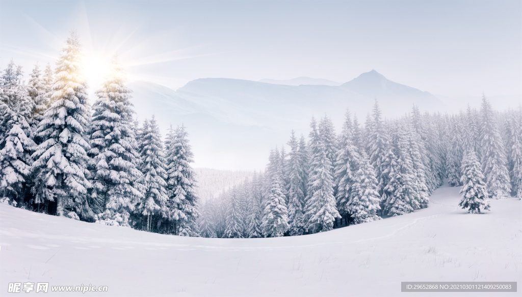 雪景