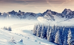 雪景