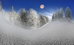 雪景