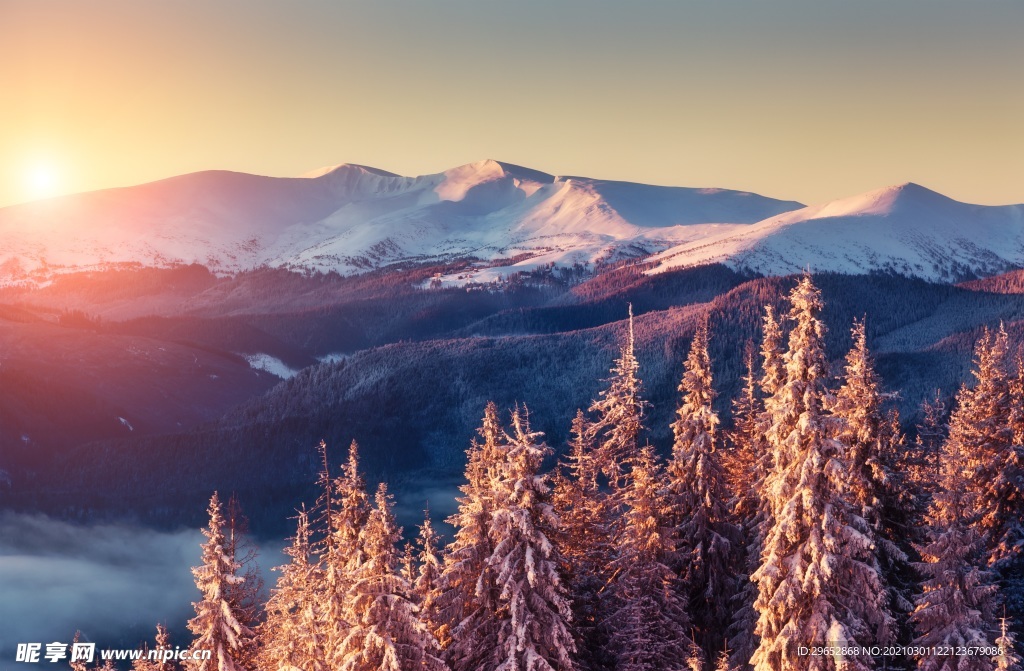 雪景