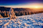 雪景