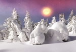 雪景