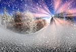 雪景