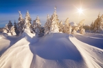 雪景