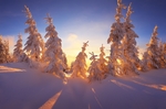 雪景