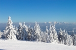 雪景