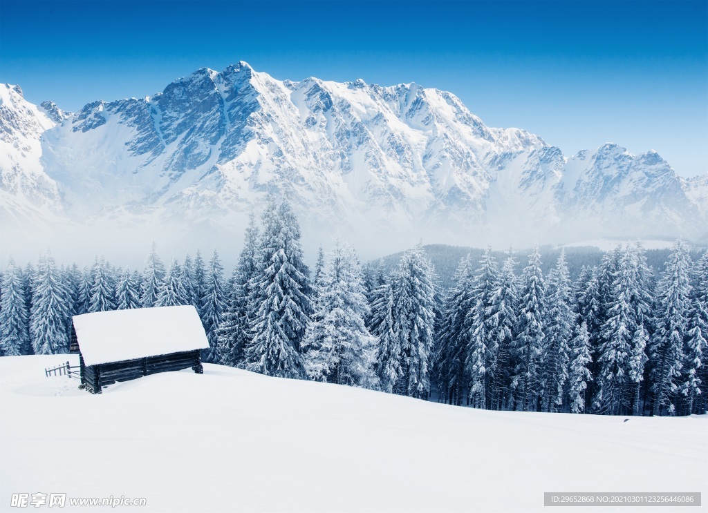 雪景