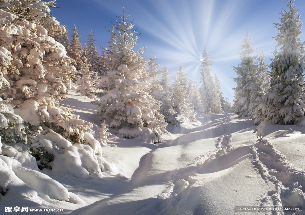 雪景