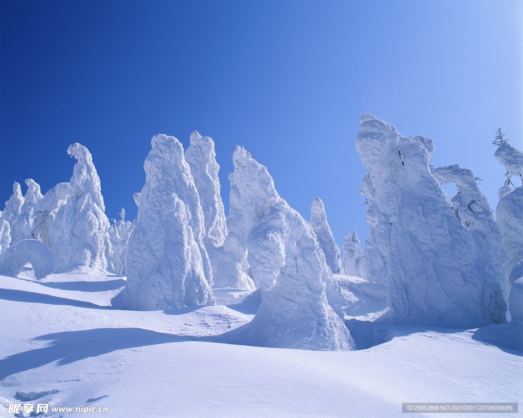 雪景