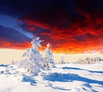 雪景