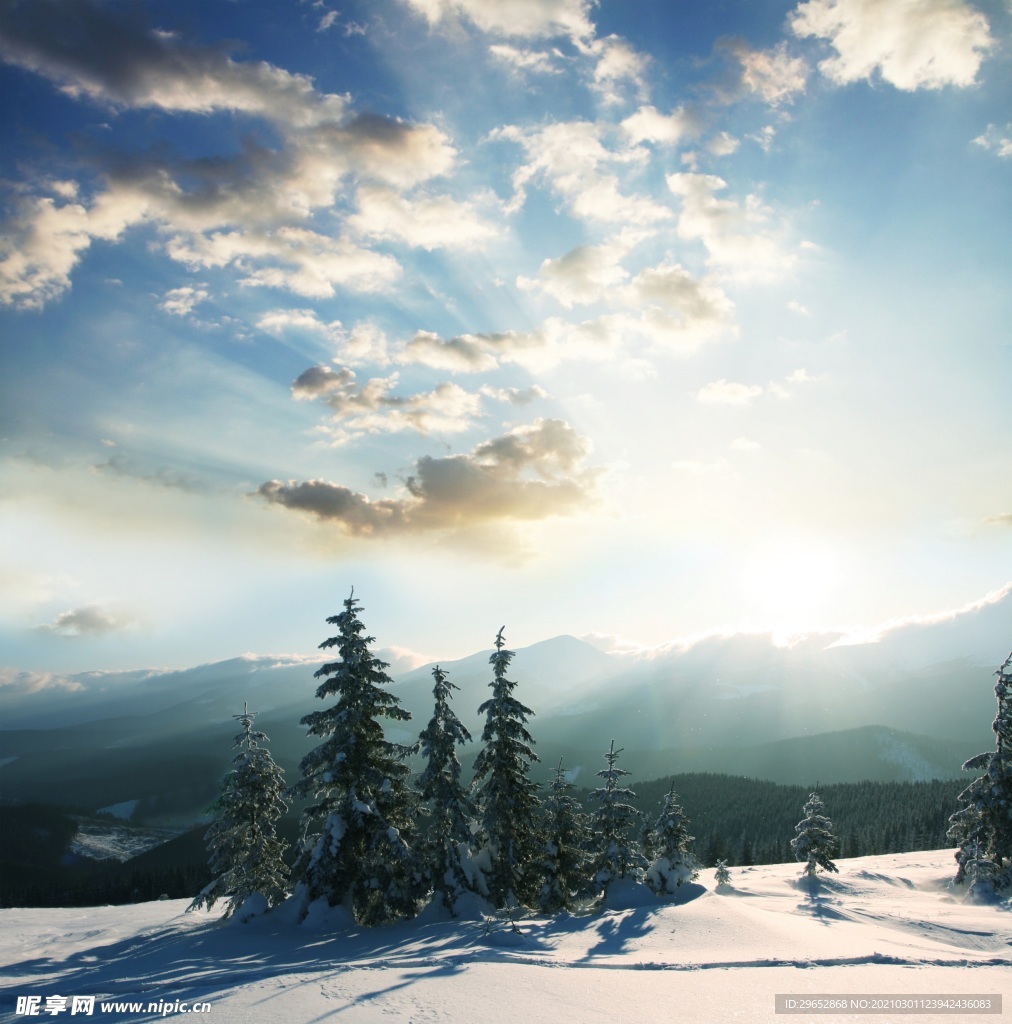 雪景