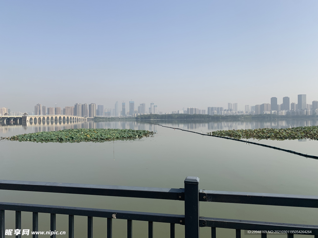 2021年武汉清晨湖畔图
