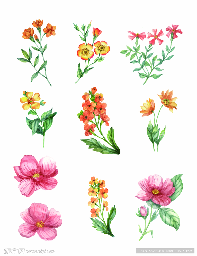 手绘花卉