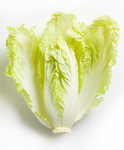 白菜