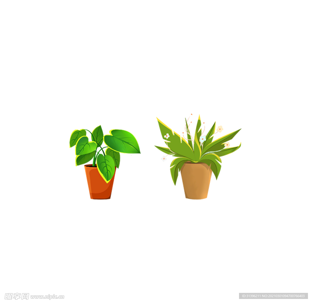 花盆