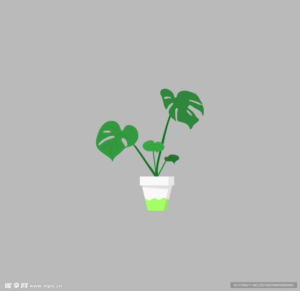 花盆