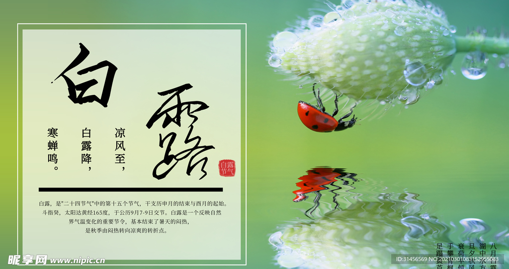 白露