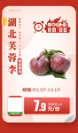 湖北芙蓉李推广图
