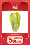 黄白推广图