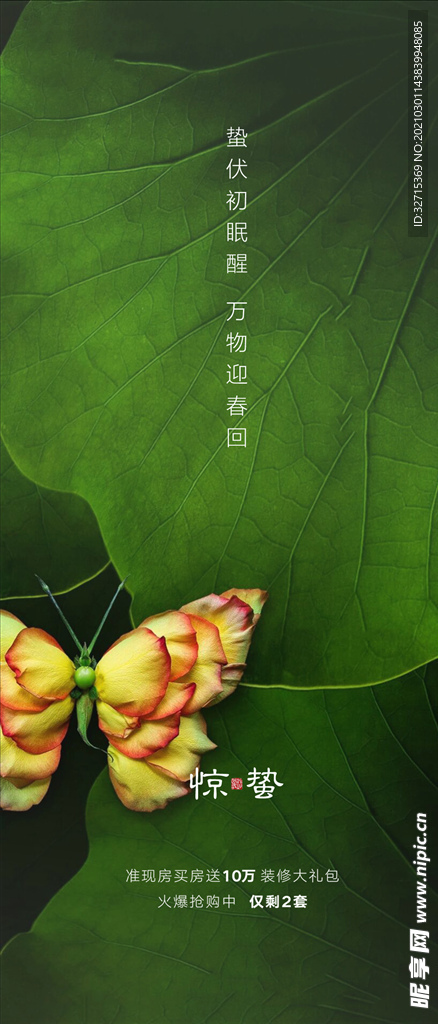 惊蛰