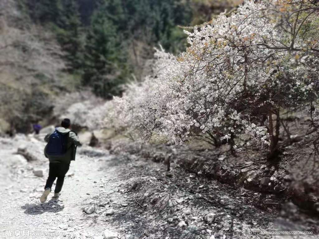 奔跑