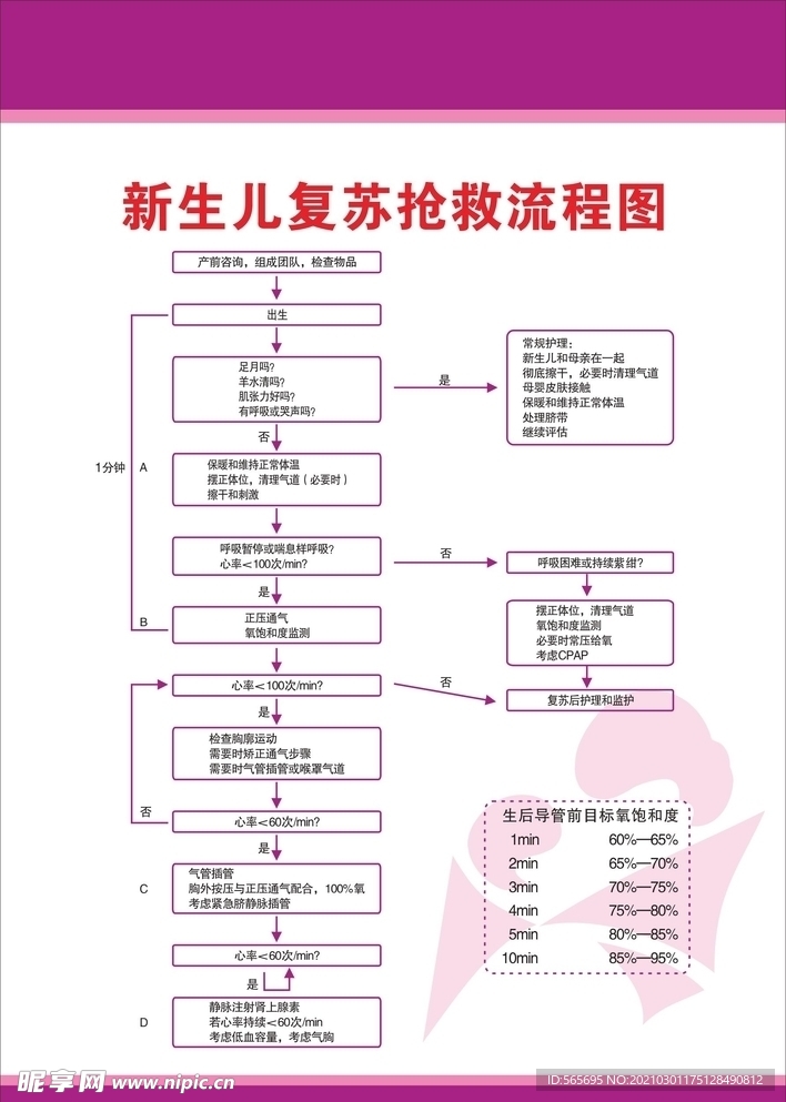 新生儿复苏抢救流程图