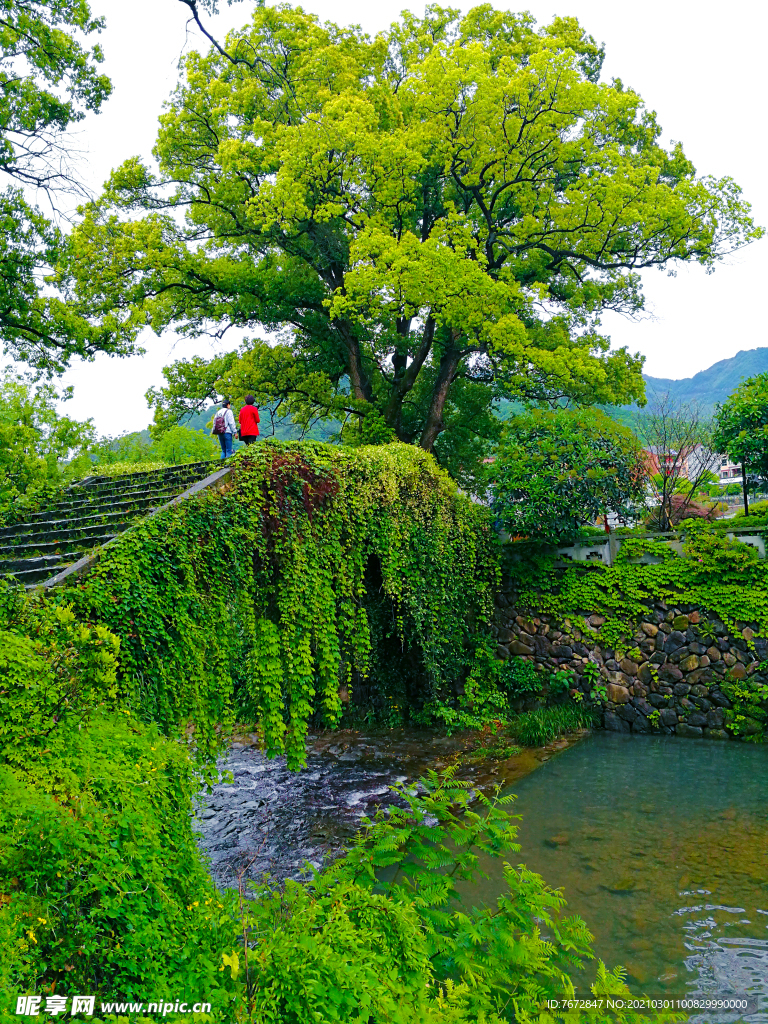 桥上风景