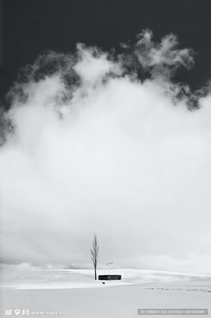 山林