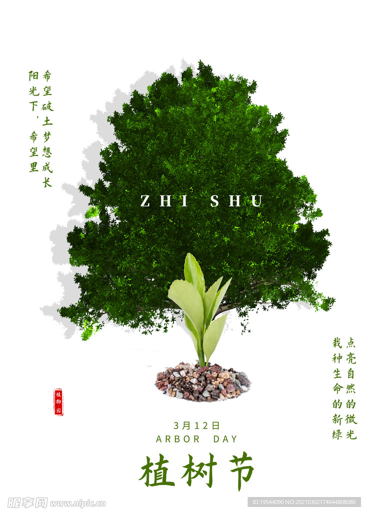 植树节