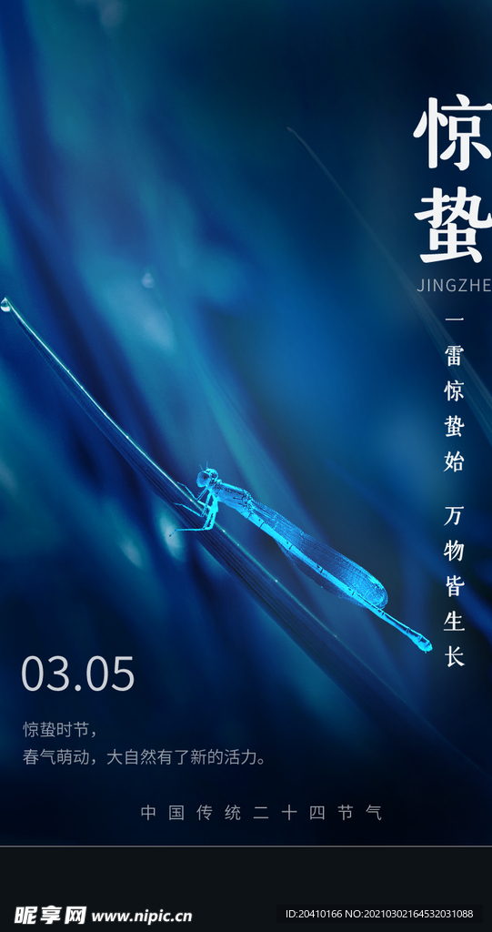 惊蛰海报