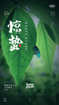 惊蛰海报