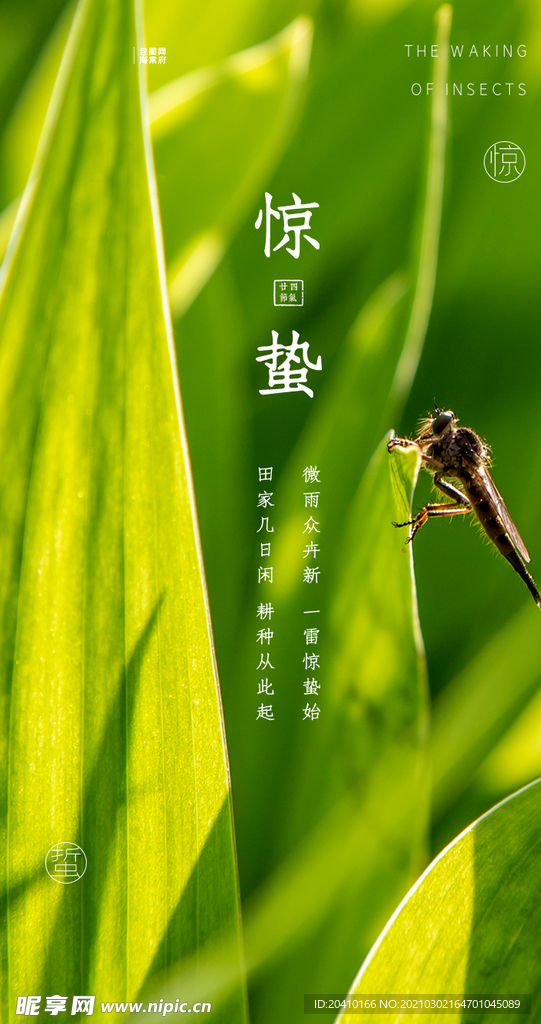 惊蛰海报