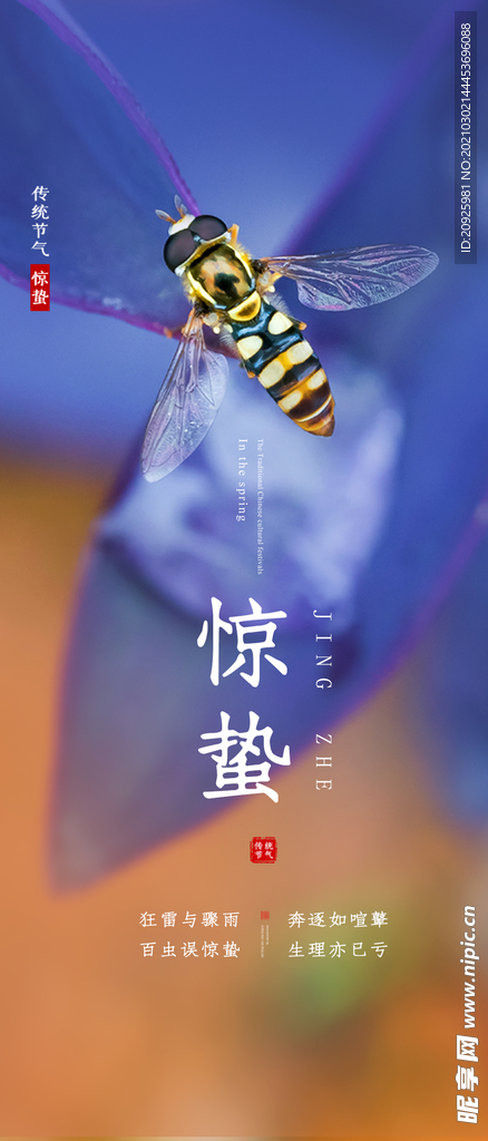 惊蛰