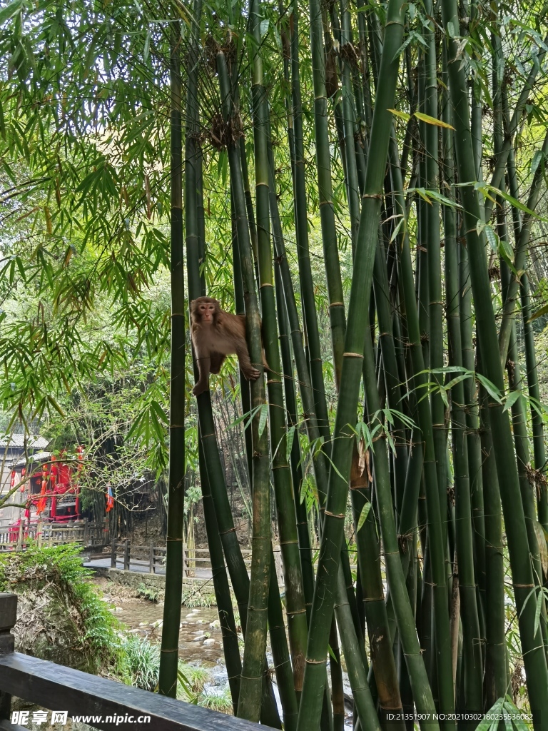 宜昌三峡人家风景